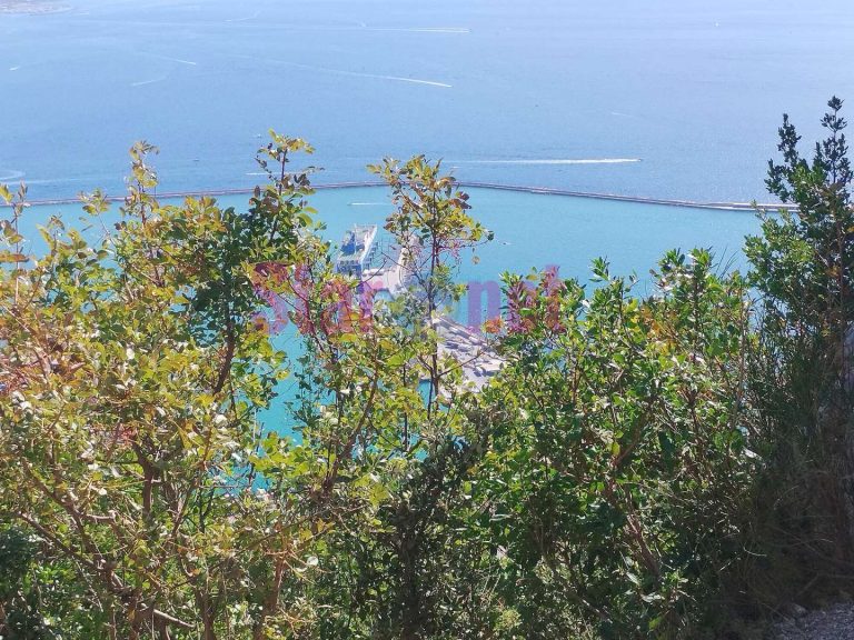 Porto di Salerno I panorami 22