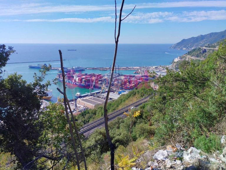 Porto di Salerno I panorami 8